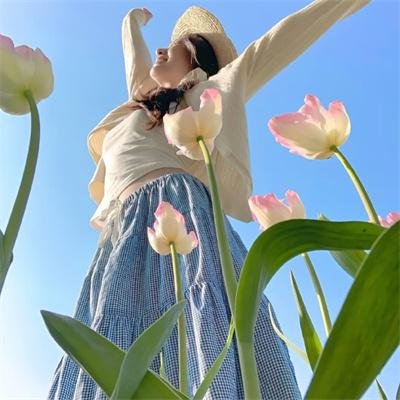 故乡稗史海报